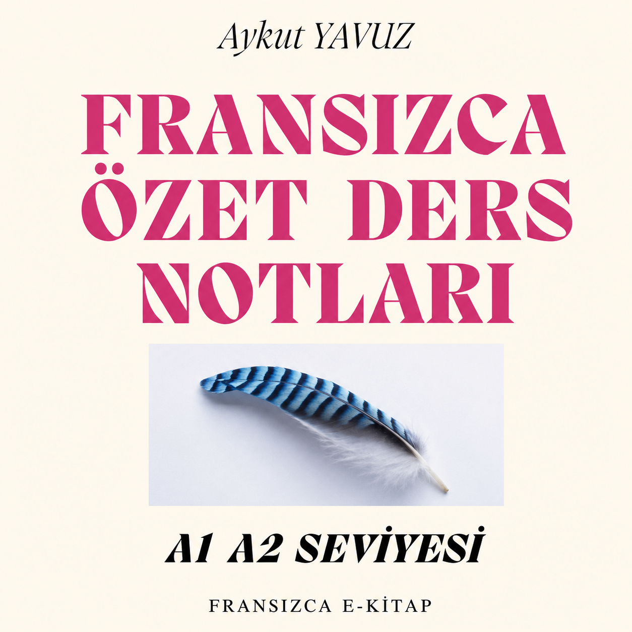 FRANSIZCA ÖZET DERS NOTLARI A1-A2 Seviyesi                                                                                                                                                                                                                